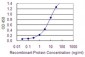 EML2 Antibody (monoclonal) (M01)